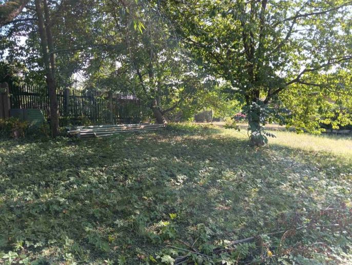 Pronájem, Zahrada, Zruč-Senec