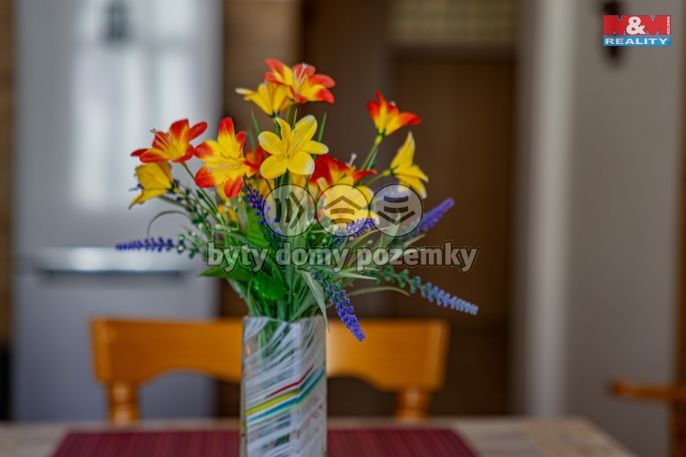 Prodej, Byt 3+1, Cheb