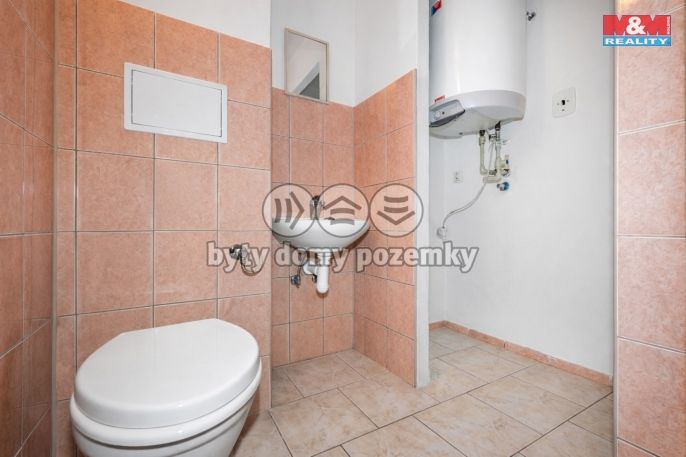 Prodej, Byt 3+1, Srby