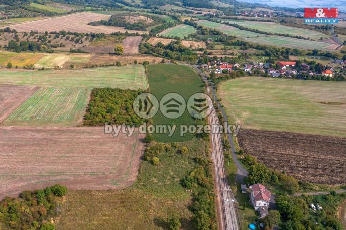 Prodej, Ovocný sad, Chotiměř