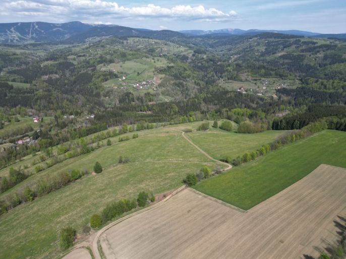 Prodej, Pole, Vysoké nad Jizerou