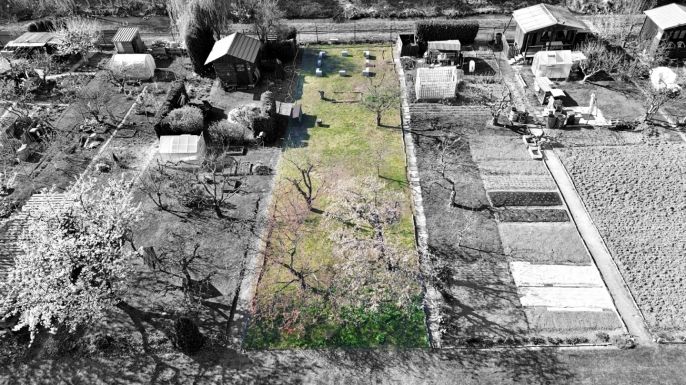 Prodej, Zahrada, Hradec Králové