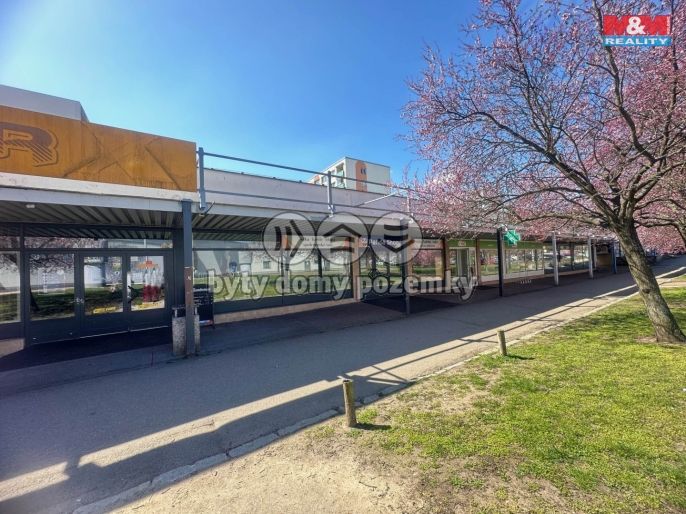 Pronájem, Obchod a služby, Mladá Boleslav