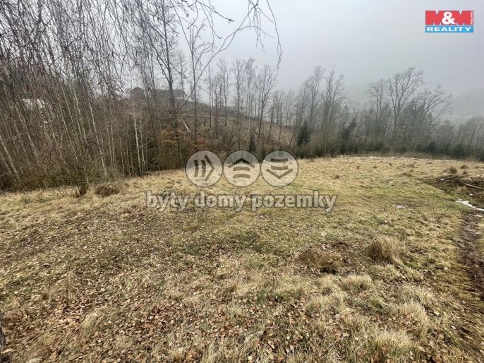 Prodej, Les, Košťálov