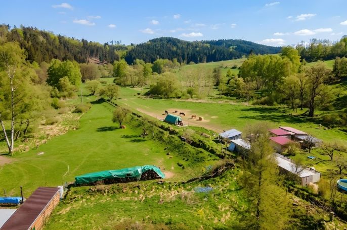 Prodej, Pozemek k bydlení, Chodová Planá