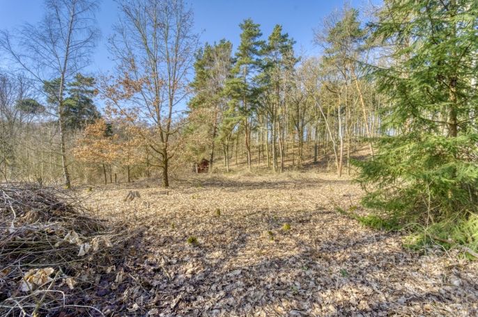 Prodej, Zahrada, Kunějovice