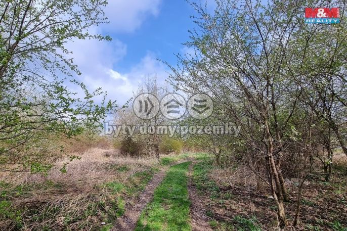 Prodej, Ostatní, Olomouc