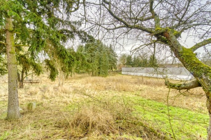 Prodej, Rodinný dům, Dobřany