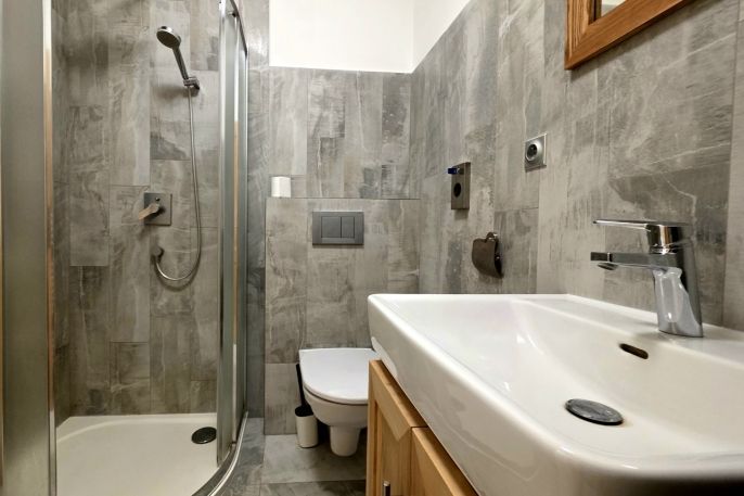 Pronájem, Byt 1+kk, Čermná