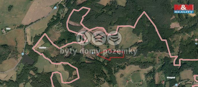 Prodej, Les, Vacovice