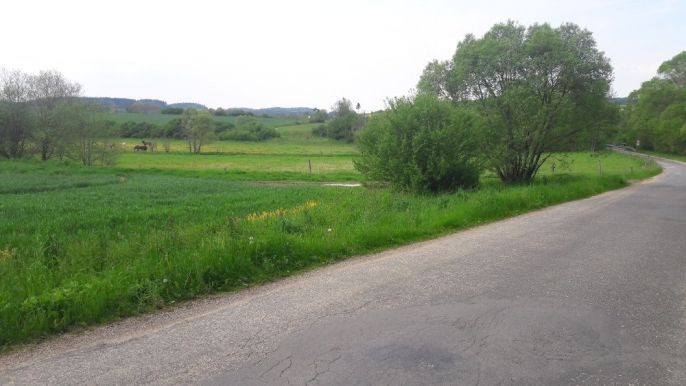 Prodej, Pole, Zvěstov