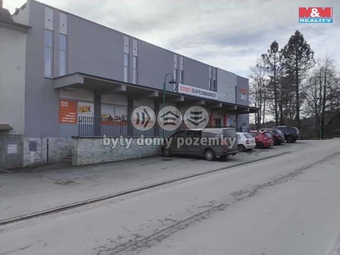 Pronájem, Obchod a služby, Malenice