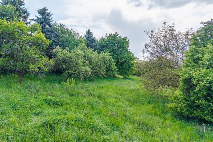 Prodej, Pozemek k bydlení, Benešov