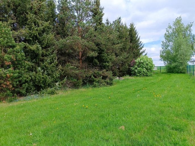 Prodej, Pozemek k bydlení, Senožaty