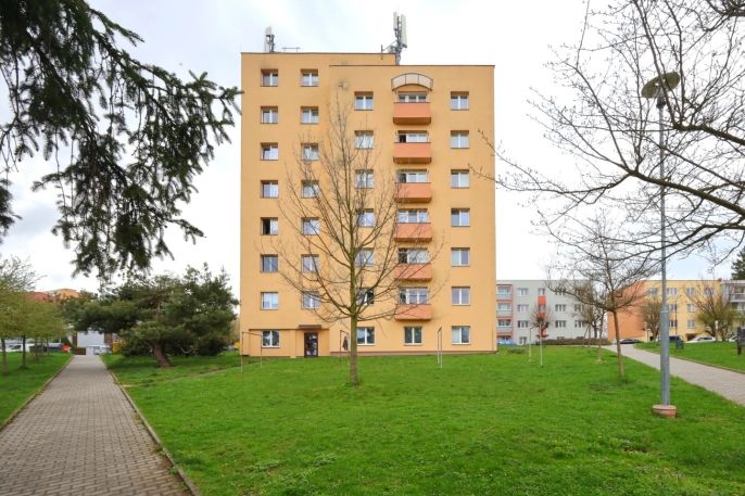 Pronájem, Byt 3+1, Ledeč nad Sázavou