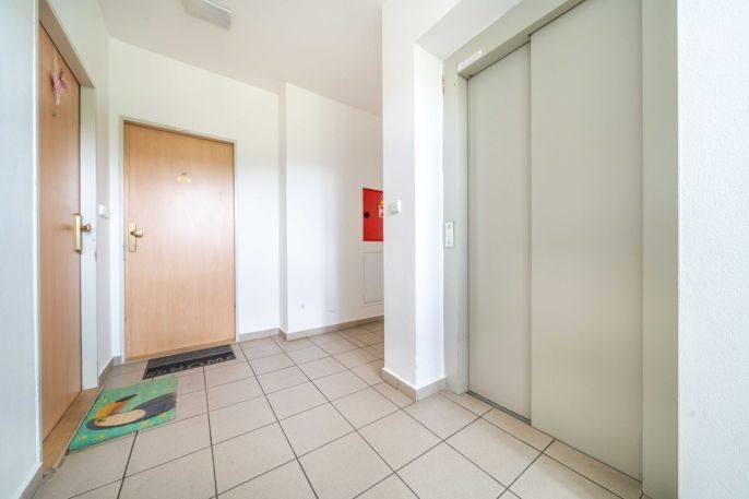 Pronájem, Byt 1+kk, Plzeň