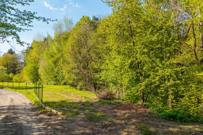 Prodej, Pozemek k bydlení, Stříbrná Skalice