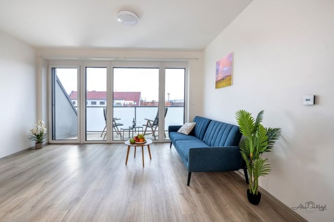 Prodej, Byt 1+kk, České Budějovice