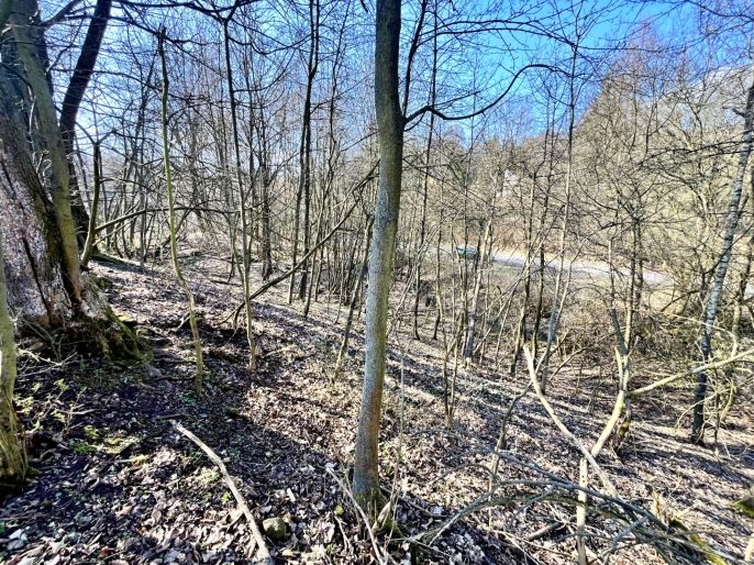 Prodej, Pozemek k bydlení, Heřmanov