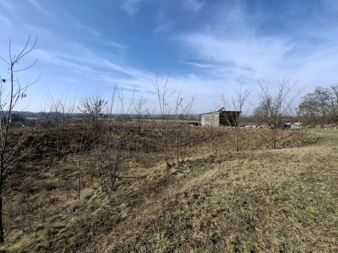 Prodej, Pole, Pohořelice