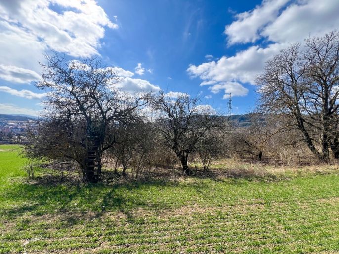 Prodej, Ovocný sad, Sušice