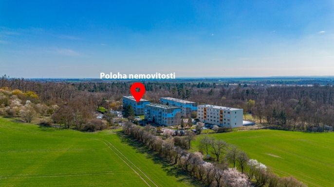 Prodej, Byt 2+1, Milovice