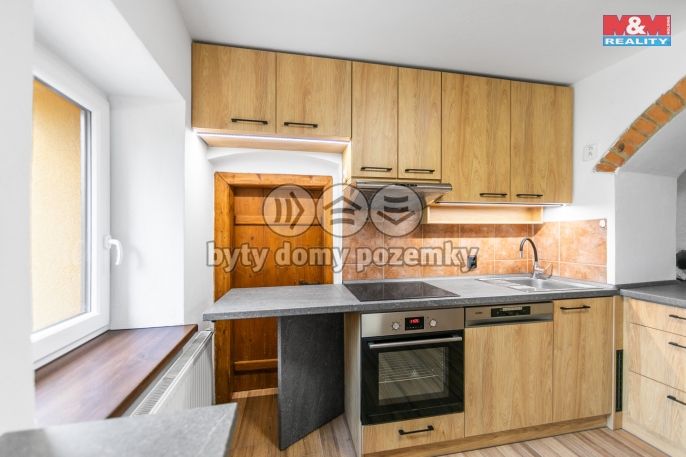 Pronájem, Rodinný dům, Pasečnice