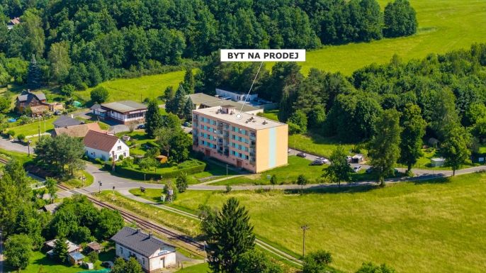 Prodej, Byt 2+1, Černousy