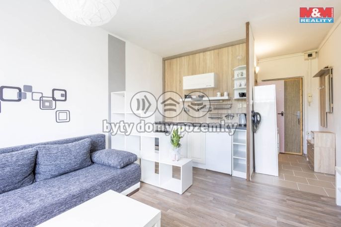 Pronájem, Byt 1+kk, Cvikov