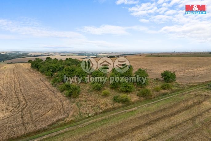 Prodej, Ovocný sad, Kralupy nad Vltavou