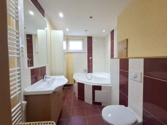 Pronájem, Byt 2+1, Ostrov