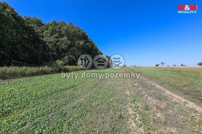 Prodej, Pole, Plzeň