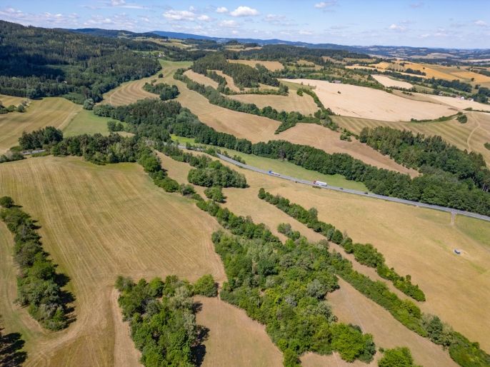 Prodej, Pole, Nišovice