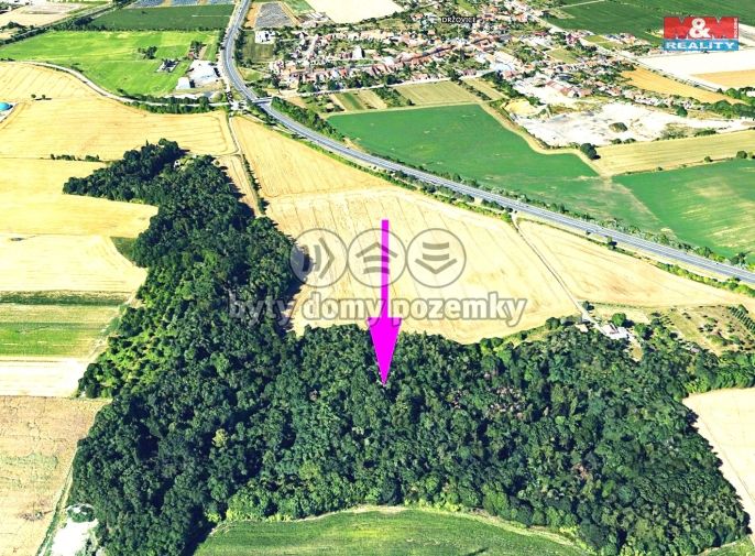 Prodej, Les, Držovice