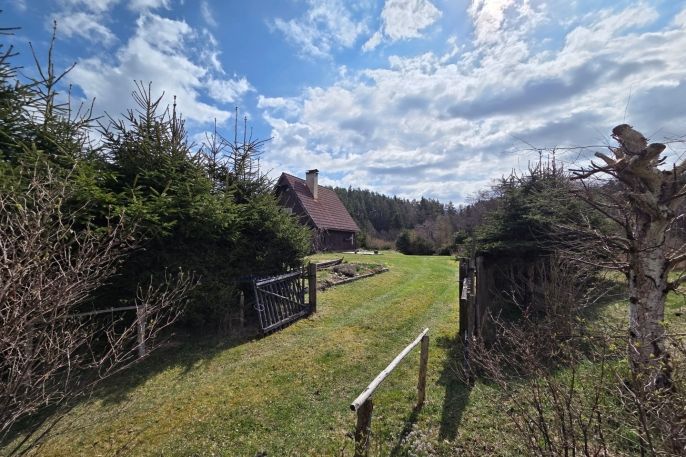 Pronájem, Chata, Nejdek