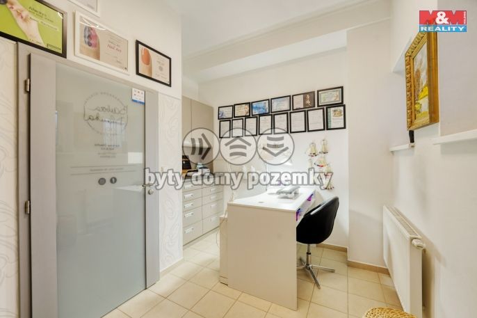 Pronájem, Obchod a služby, Plzeň