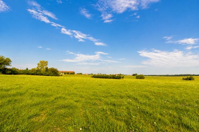 Prodej, Pozemek k bydlení, Poběžovice u Holic