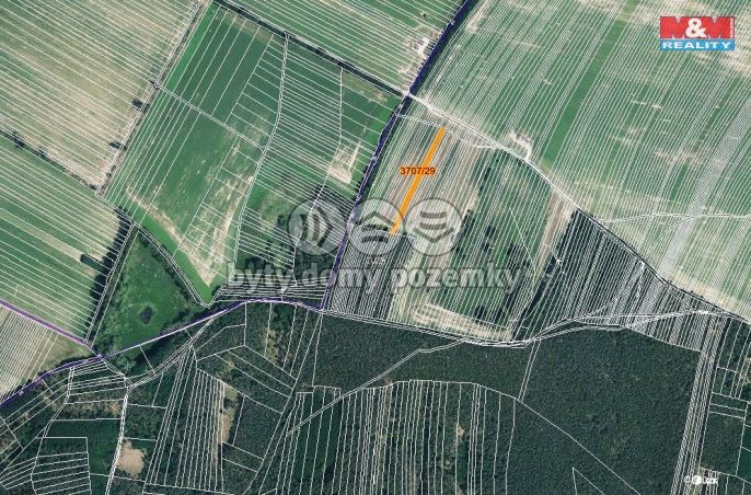 Prodej, Pole, Vracov