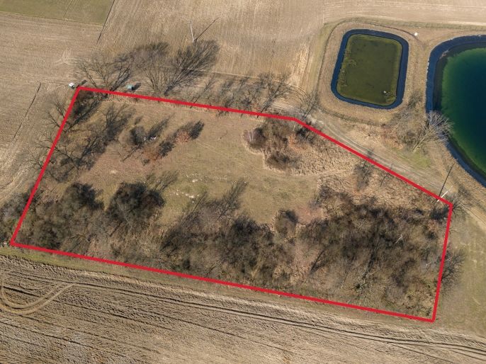 Prodej, Les, Tuřice