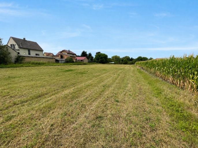 Prodej, Pozemek k bydlení, Libomyšl