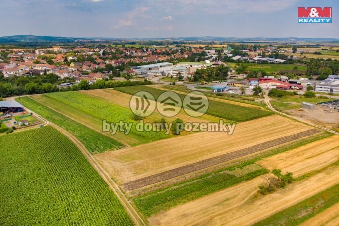 Prodej, Pole, Podivín