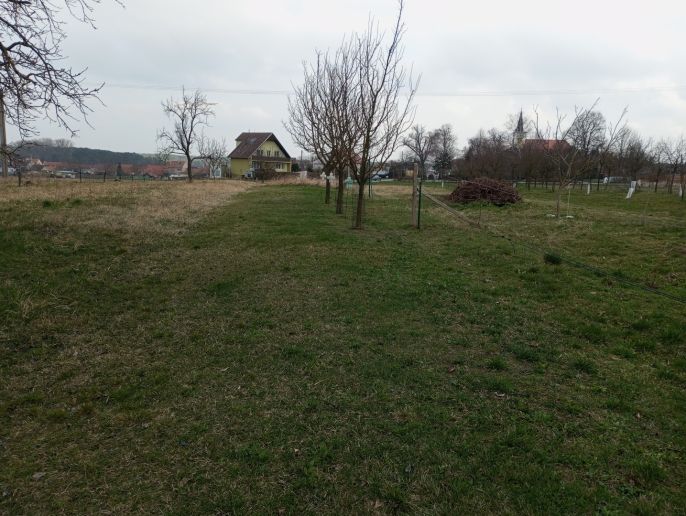 Prodej, Vinný sklep