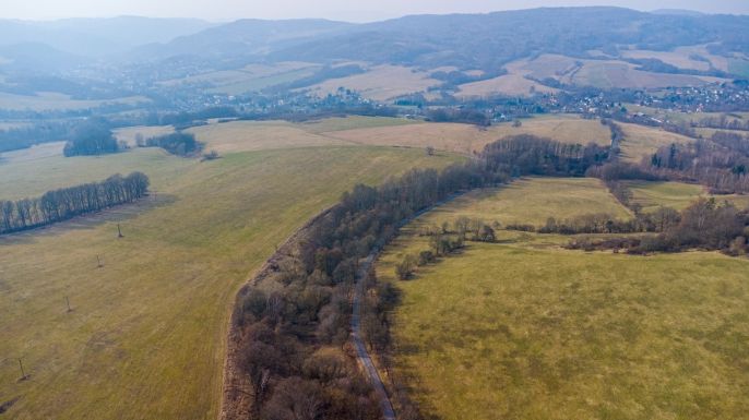 Prodej, Les, Dolní Habartice