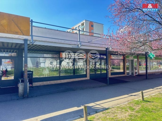 Pronájem, Obchod a služby, Mladá Boleslav