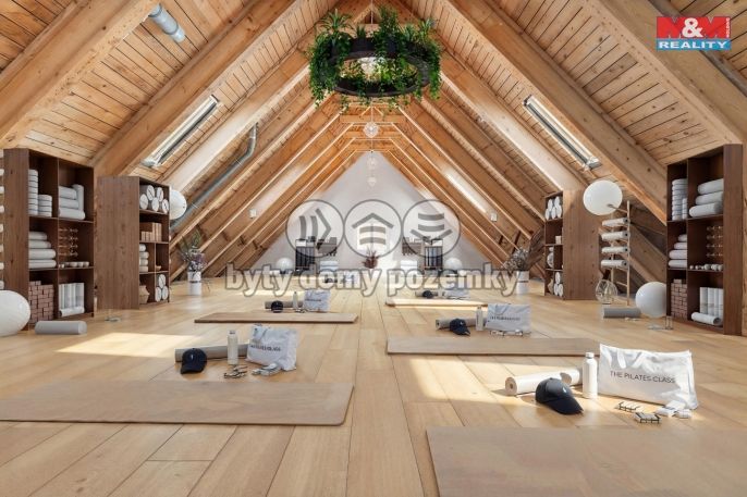 Prodej, Hotel, penzion, Borušov