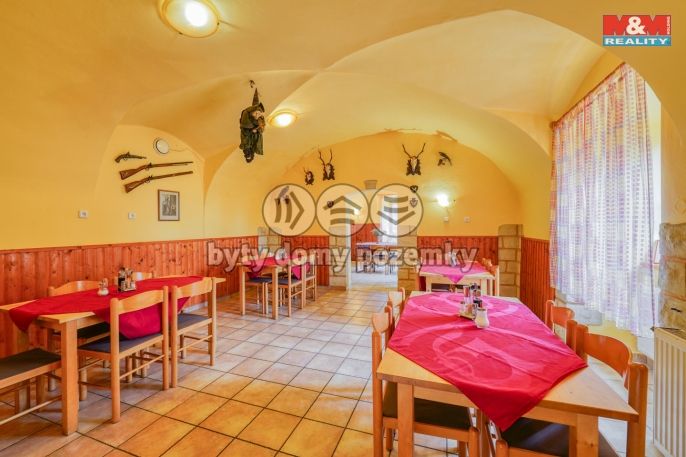 Prodej, Hotel, penzion, Žihle