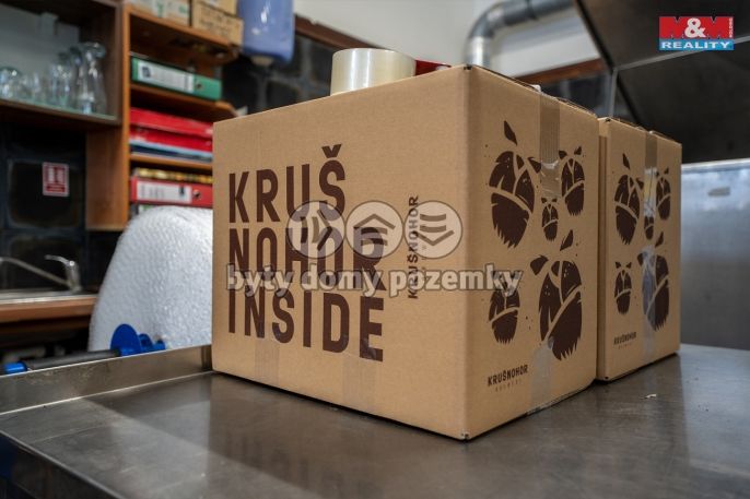 Prodej, Obchodní objekt, Kraslice