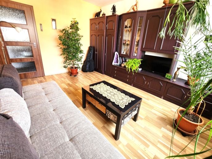 Prodej, Byt 1+1, Louny
