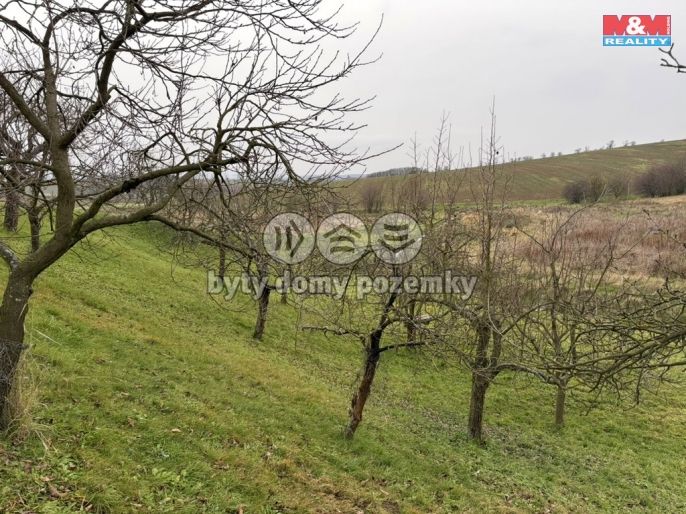 Prodej, Zahrada, Bezuchov