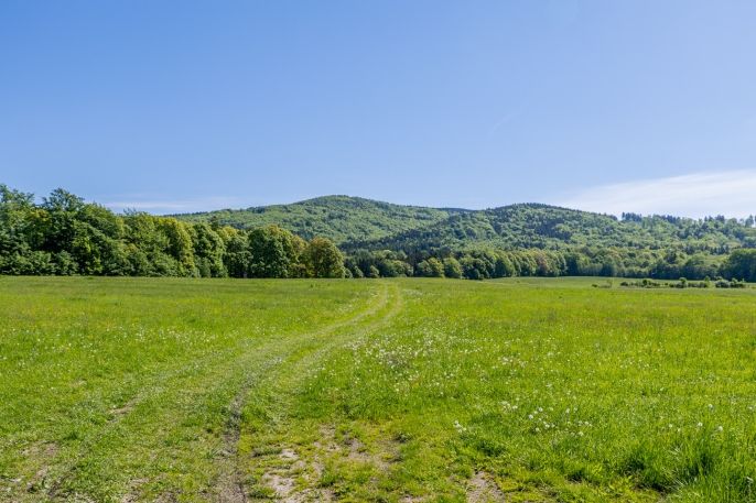Prodej, Rodinný dům, Křižany